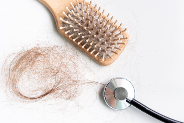 俯视图一刷就掉毛了吧，头发脱落天天都是严重的问题。孤立在白色背景。图片下载