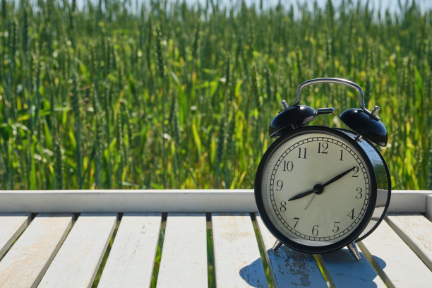 闹钟放在白色的木桌上，在黑麦或小麦地里，模仿起来。图片下载