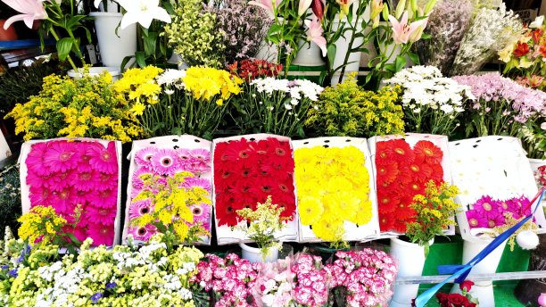 花店的架子或木桌上有许多不同的颜色。展示。混合花的背景。美丽的花目录或网上商店。花店和送货概念，俯视图图片下载