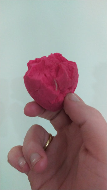 一只手拿着被狗咬过的美容海绵图片下载