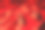 RPG骰子照明彩色光，光绘画风格的照片，选择性聚焦。图片下载