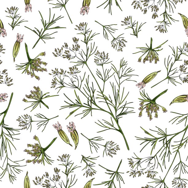 手绘无缝图案与孜然植物和花卉素描风格图片下载