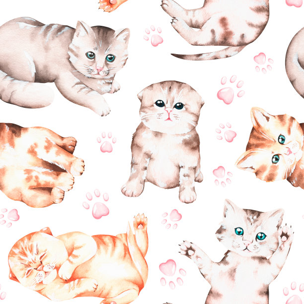 小猫。无缝模式。水彩插图。孤立在白色背景上。图片下载