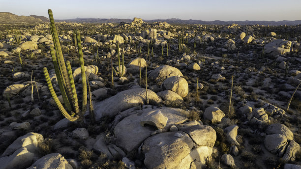 墨西哥巴哈沙漠卡塔维纳沙漠图片下载