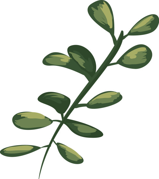 可爱的植物分支图片下载