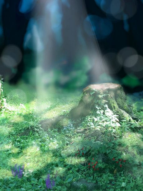 美丽的山水画，西方风格的花园，树桩，阳光透过树木在夏天的一天。图片下载