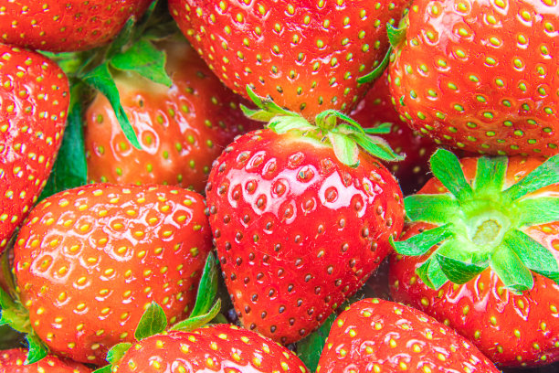 草莓背景在许多浆果的宏观特写。图片下载