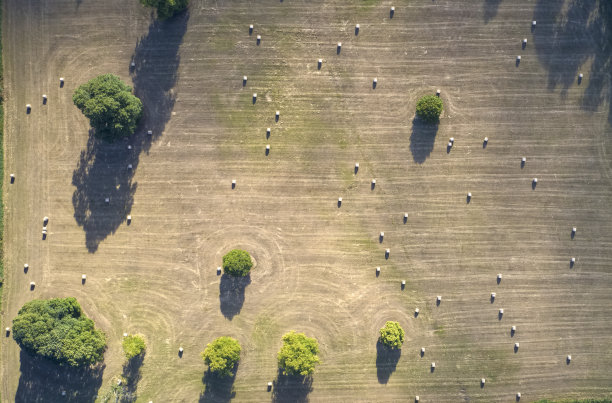 农民在农场里把干草捆在地里收割图片下载