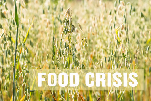在燕麦农田上刻下粮食危机的印记。图片下载