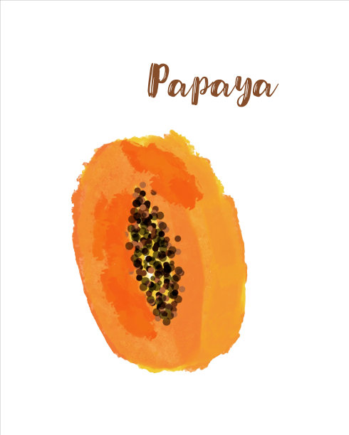 木瓜图形仿水彩图片下载