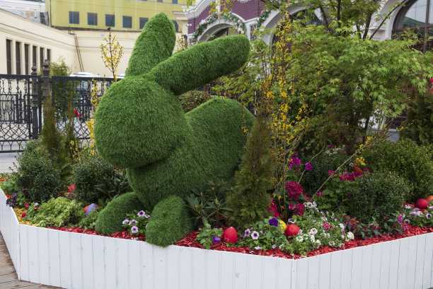 复活节兔子修剪成形的图片下载