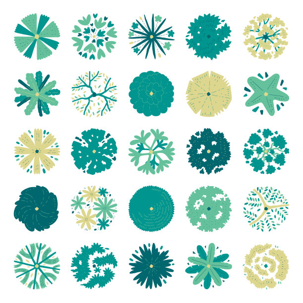 手绘的俯视图树图片下载