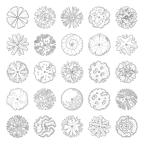 手绘的俯视图树图片下载