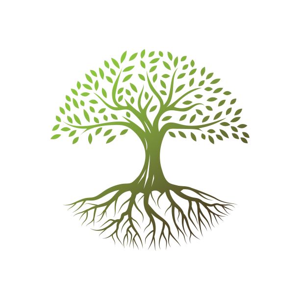 树标志设计矢量图片下载