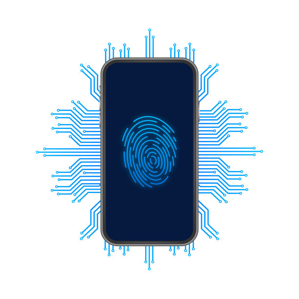网络安全矢量标志与盾和检查标记。安全保护的概念。网络安全。矢量图图片下载