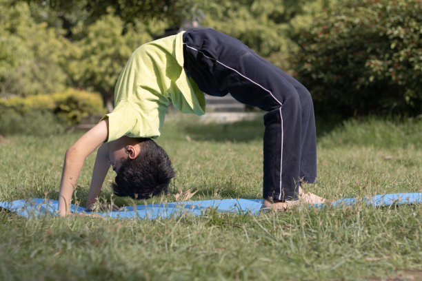 早上在公园户外练习瑜伽，健康的生活理念图片下载