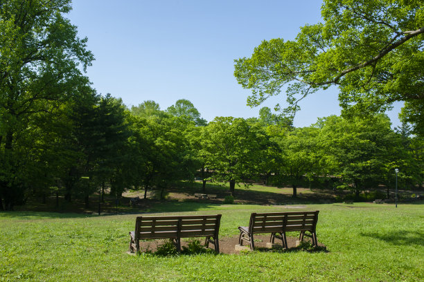 绿色公园的长椅上图片下载