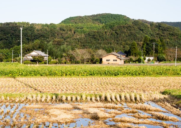 秋天有稻田的日本乡村图片下载