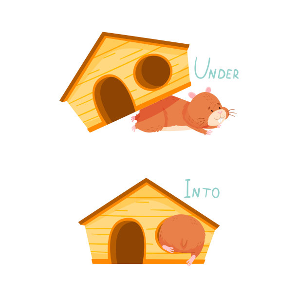 英语介词的位置设置可爱的仓鼠图片下载