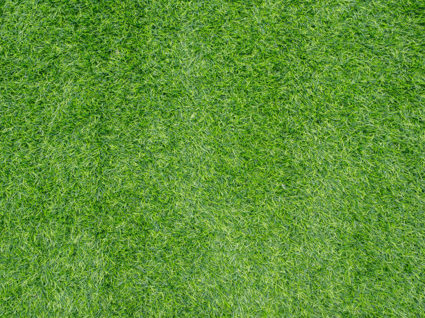 人造草皮纹理图片下载