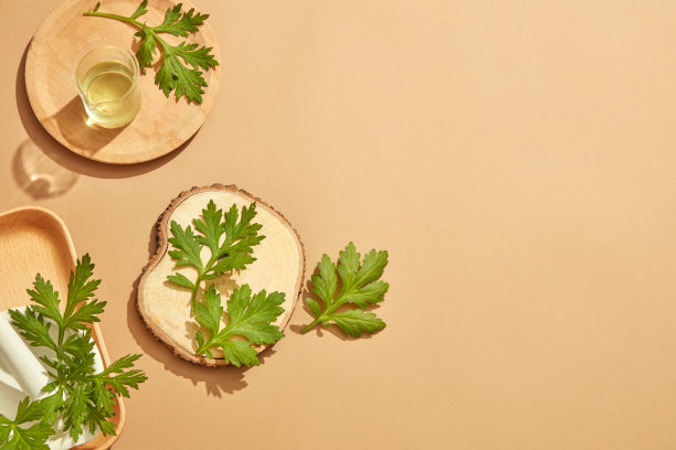 艾叶装饰木盘，天然叶提取物用于健康护肤，内容自然图片下载