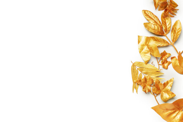 金叶设计元素。图片下载