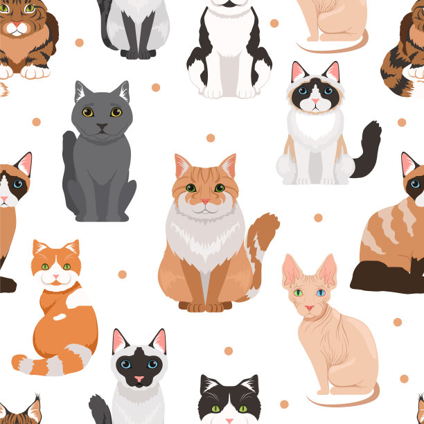 无缝图案的可爱猫咪彩色图片图片下载