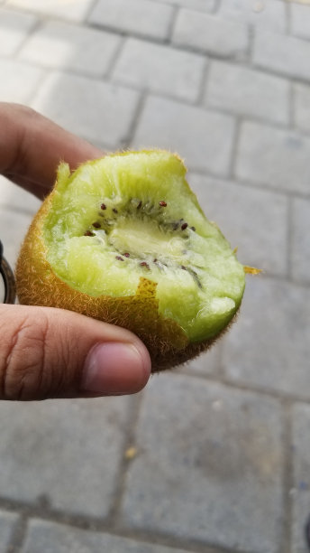 部分咬猕猴桃在手图片下载