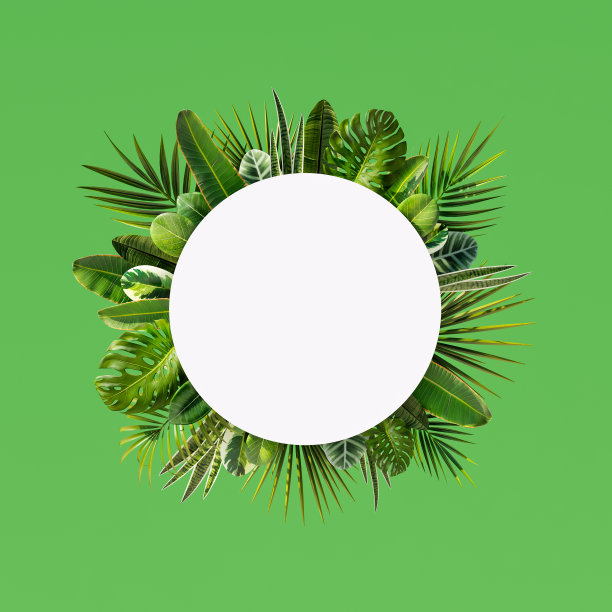 空的白色模拟圆与许多手掌和其他树叶在绿色背景3D渲染图片下载