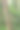 木梯在森林-成功的概念。HDR图片下载