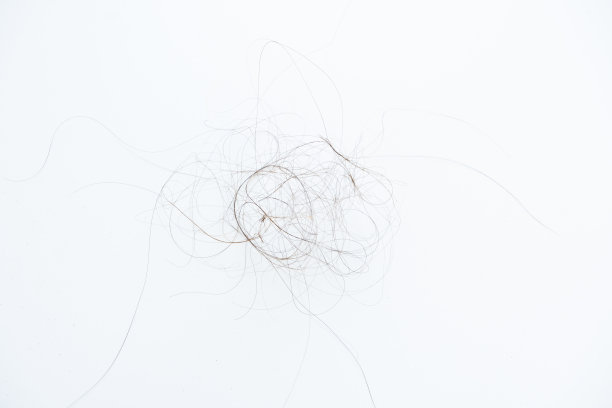 落在白底的头发。脱发问题图片下载