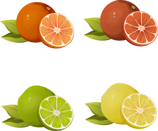 柑橘类水果橙子柚子柠檬酸橙图片下载