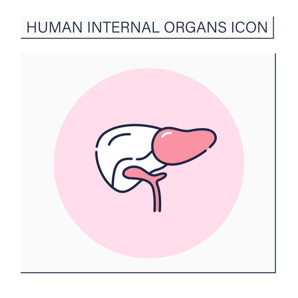肝脏彩色图标图片下载