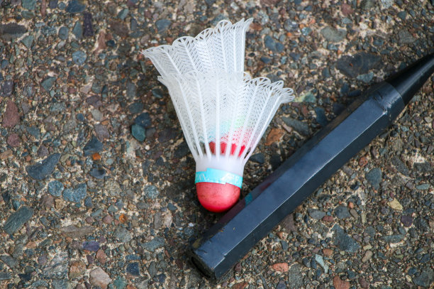 羽毛球器材图片下载