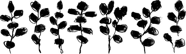 手绘黑色画笔桉树树枝设置图片下载