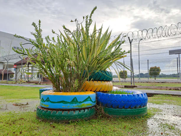 用橡胶汽车轮胎做的花盆图片下载