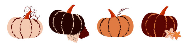 扁平的南瓜镶嵌在秋天的调色板上图片下载