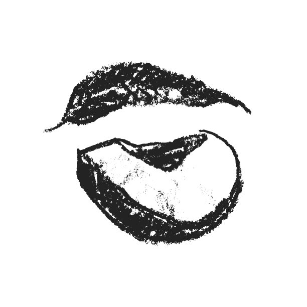 桃子象征孤立。手绘油桃草图。图片下载