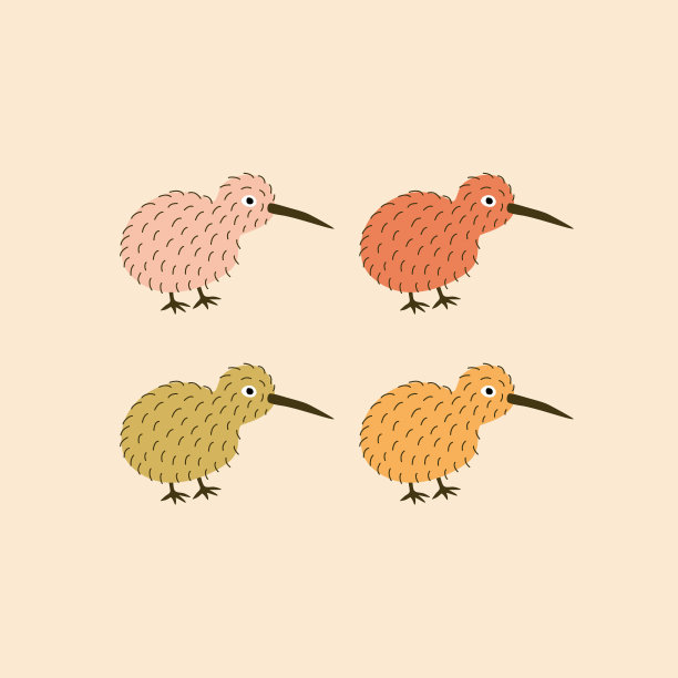 几维可爱的彩色鸟类手绘矢量插图。孤立的新西兰毛茸茸的鸟在平坦的风格为孩子的标志或图标。图片下载