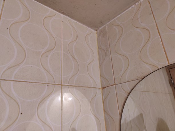 房子的一角是产房里面图片下载