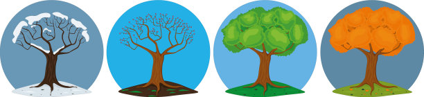 四季树在山上图片下载