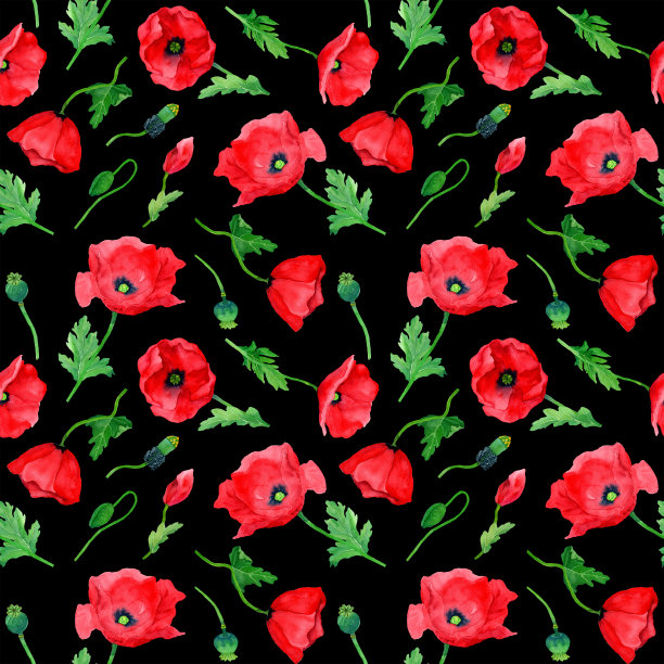水彩手绘罂粟花无缝图案。植物学插图红罂粟。图片下载