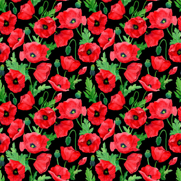 水彩手绘罂粟花无缝图案。植物学插图红罂粟。图片下载