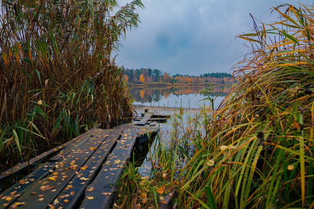 阴沉的秋日，湖面平静的森林湖的照片。图片下载