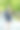 青春期前微笑的女学生背着书包，喝着酒去上学。返校的概念图片下载