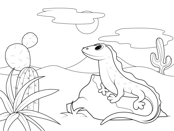 沙漠里的蜥蜴坐在石头上的孩子们图片下载