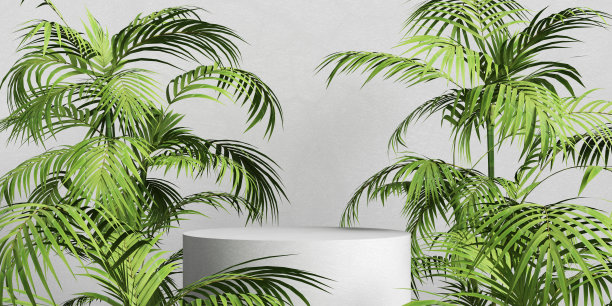 棕榈树的叶子围绕着白色的裙台舞台基座图片下载