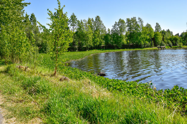 安克雷奇公园，阿拉斯加-韦斯特切斯特公园泻湖图片下载