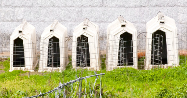 狗窝排成一排，宠物运输工具。图片下载