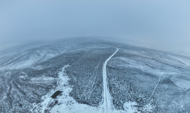 加拿大育空地区，暴风雪过后冬季北方自然森林的全景鸟瞰图图片下载